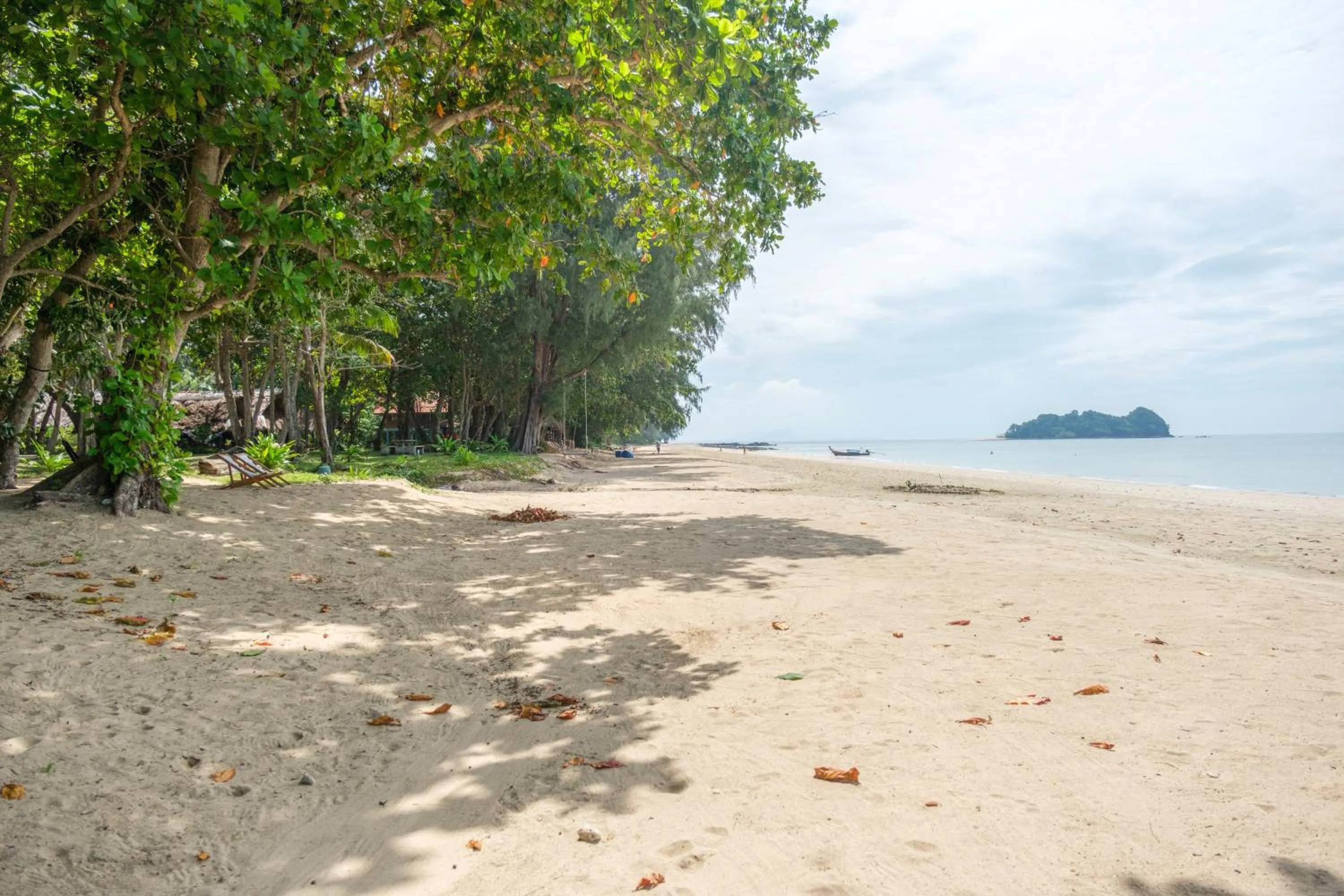 Natural landscape in JOY Bungalow Resort and Restaurant
