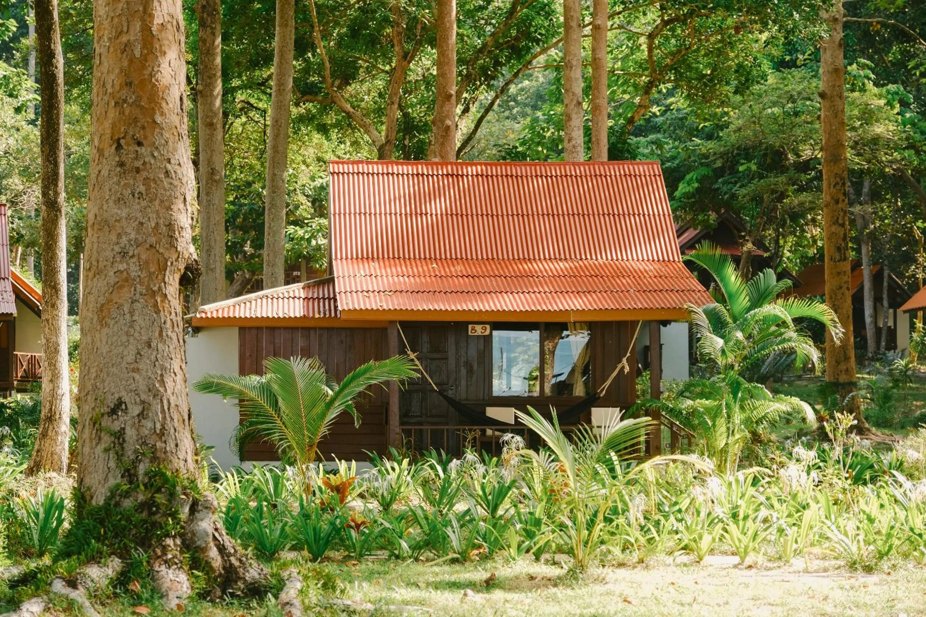 Garden view in JOY Bungalow Resort and Restaurant