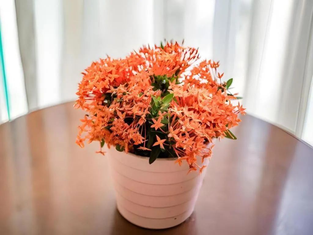 Jian Guo Grand Hotel