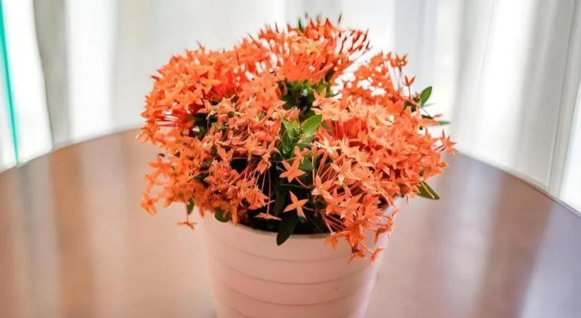 Jian Guo Grand Hotel