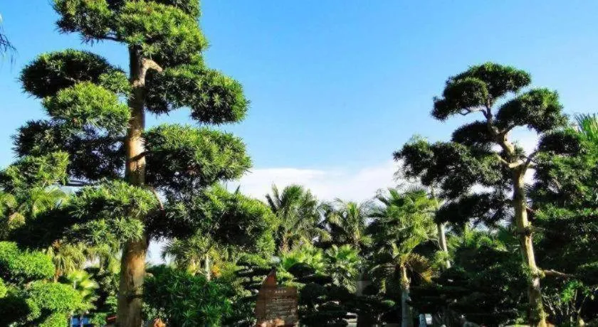 Hainan Yatai Hot Spring Hotel