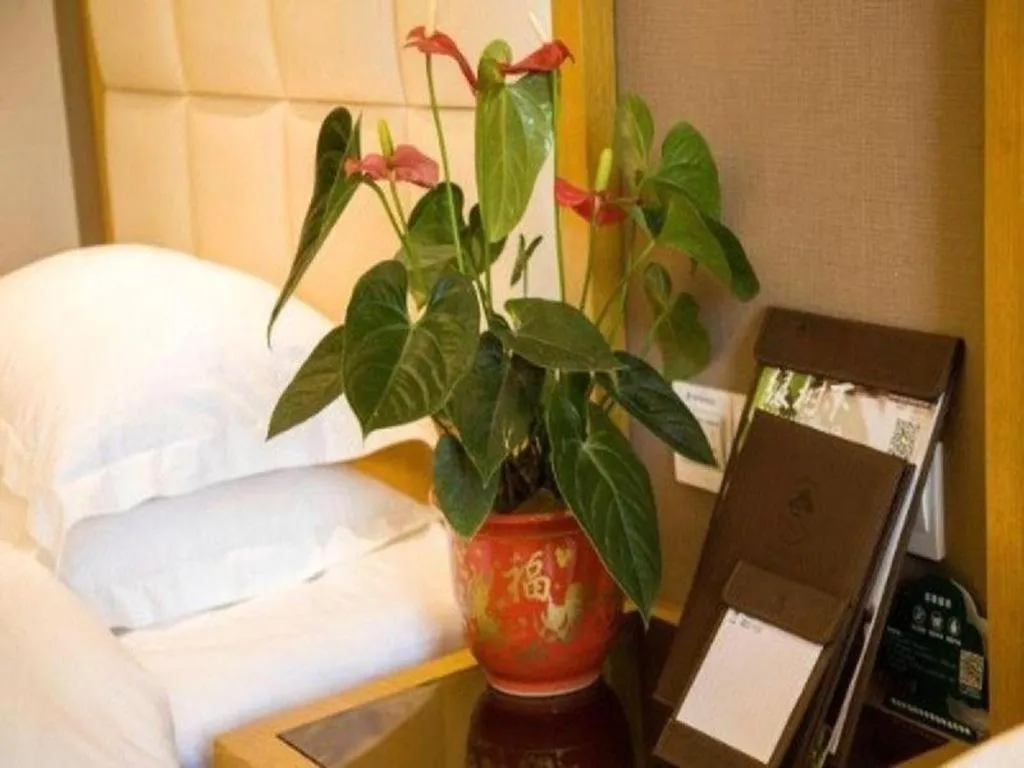 GreenTree Inn Shandong Taian Feicheng Xincheng Road Business Hotel