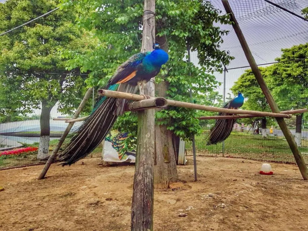 Mingdu Ziwei Garden Hotel