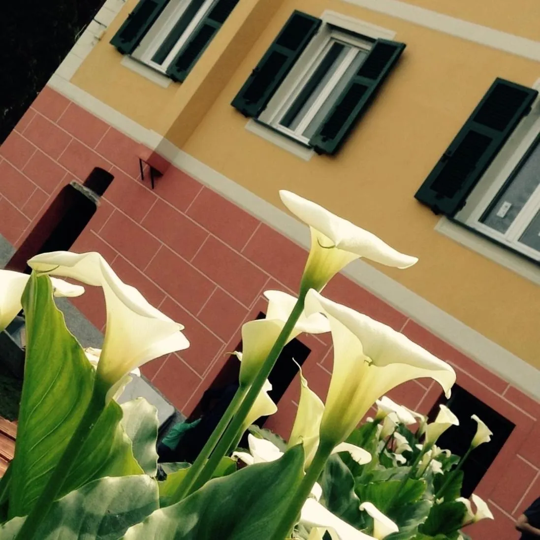 Facade/entrance in BBQ Lodge