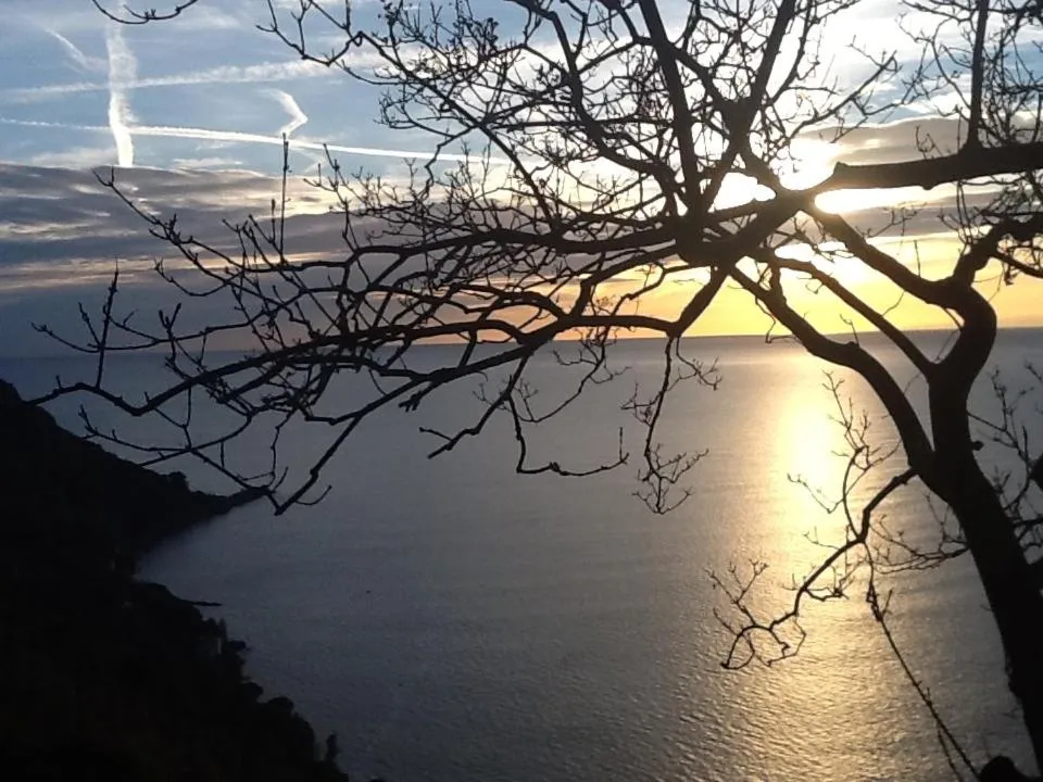 View (from property/room) in BBQ Lodge