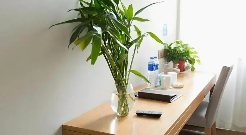 GreenTree Inn Maanshan Hanshan District Jiuwu Square Hotel GreenTree Inn Maanshan Hanshan District Jiuwu Square Hotel