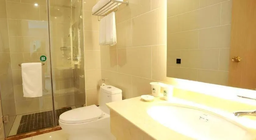 GreenTree Inn Yichun Qingshan Street Express Hotel