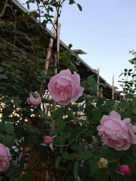 Kaibin International Hotel Jingdezhen