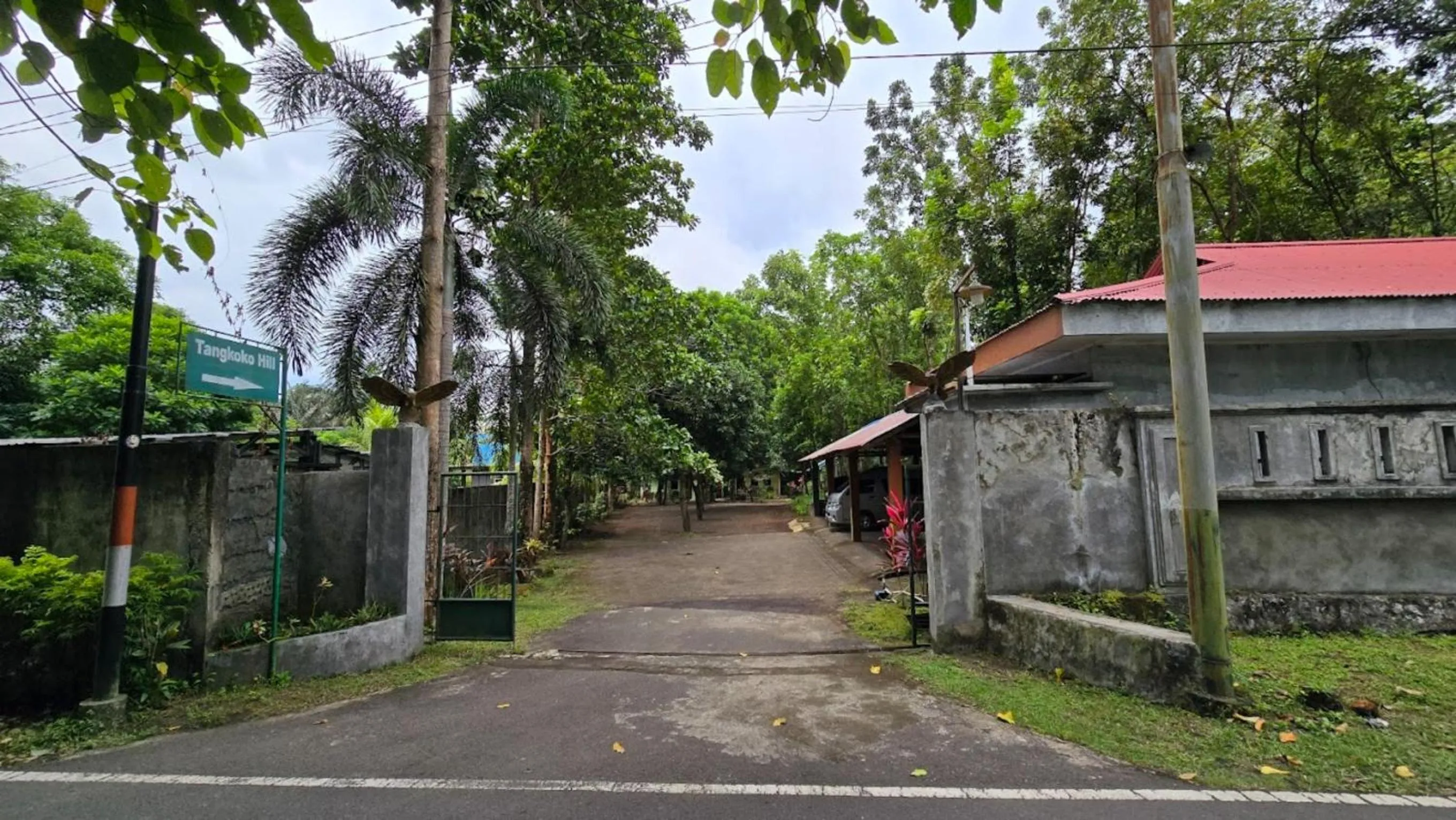 Neighbourhood in Tangkoko Macaca