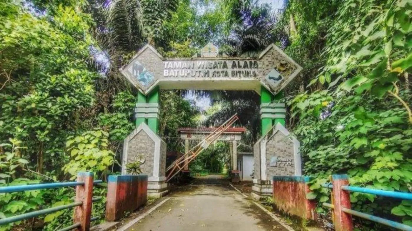 Spring in Tangkoko Macaca