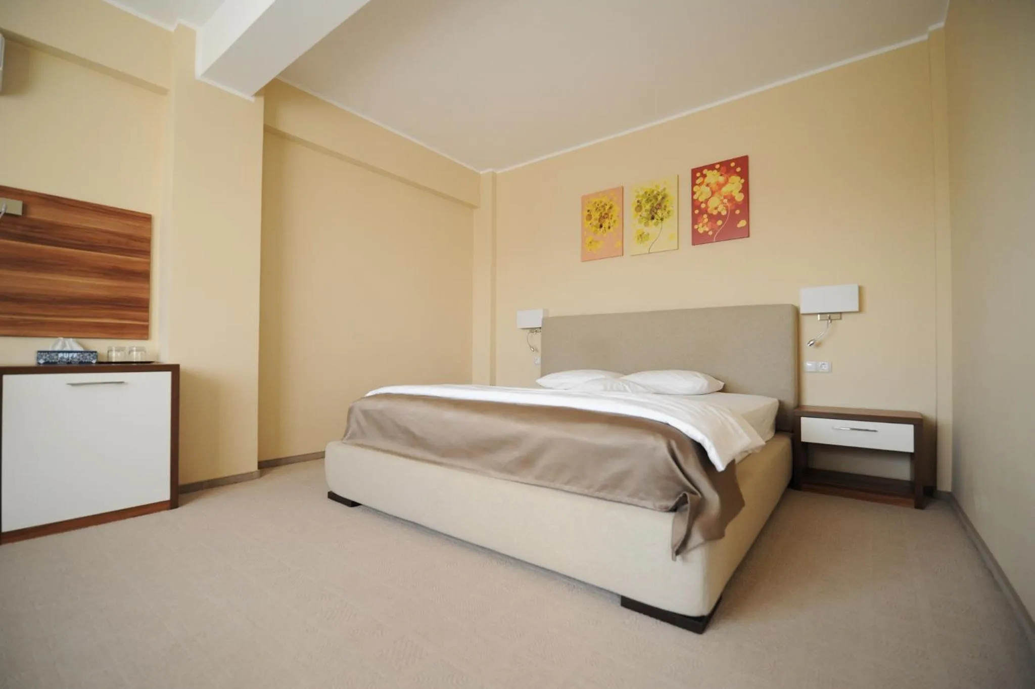 Double Room with Balcony - single occupancy in Bruxelles Guesthouse Craiova