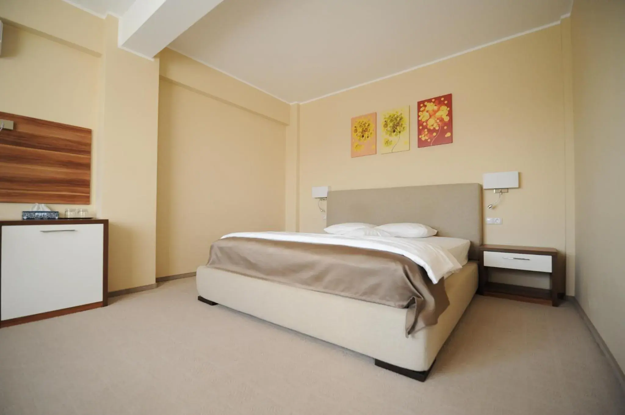 Double Room with Balcony - single occupancy in Bruxelles Guesthouse Craiova Double Room with Balcony - single occupancy in Bruxelles Guesthouse Craiova
