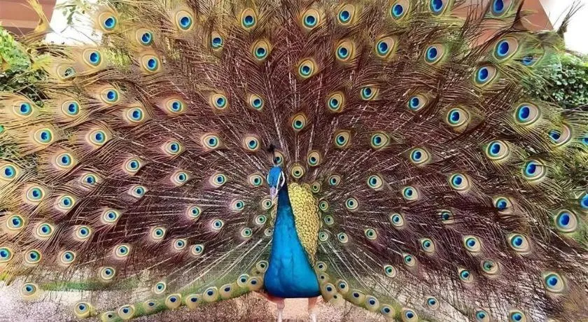 Dongguan MCB Lake Hotel