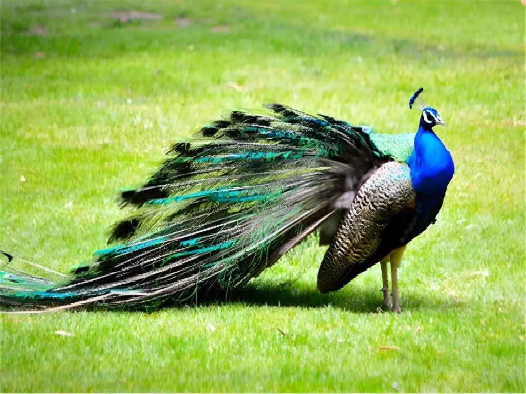 Dongguan MCB Lake Hotel