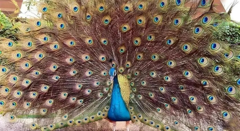 Dongguan MCB Lake Hotel