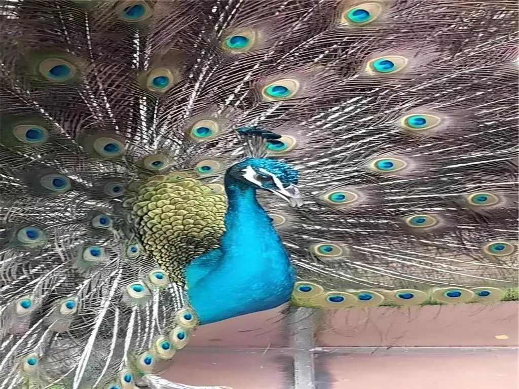 Dongguan MCB Lake Hotel