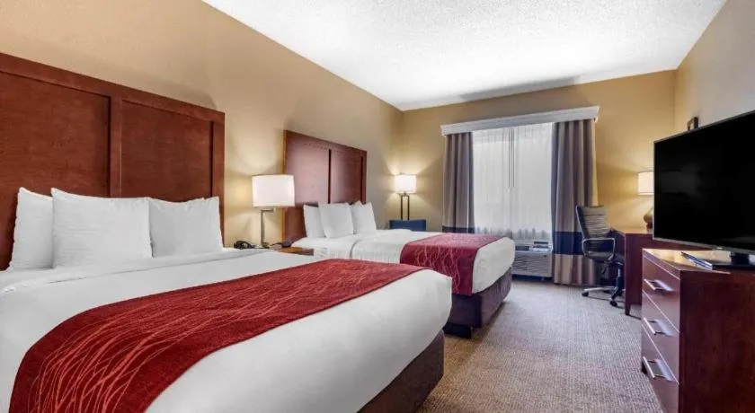 Bed in Comfort Inn DFW Airport North