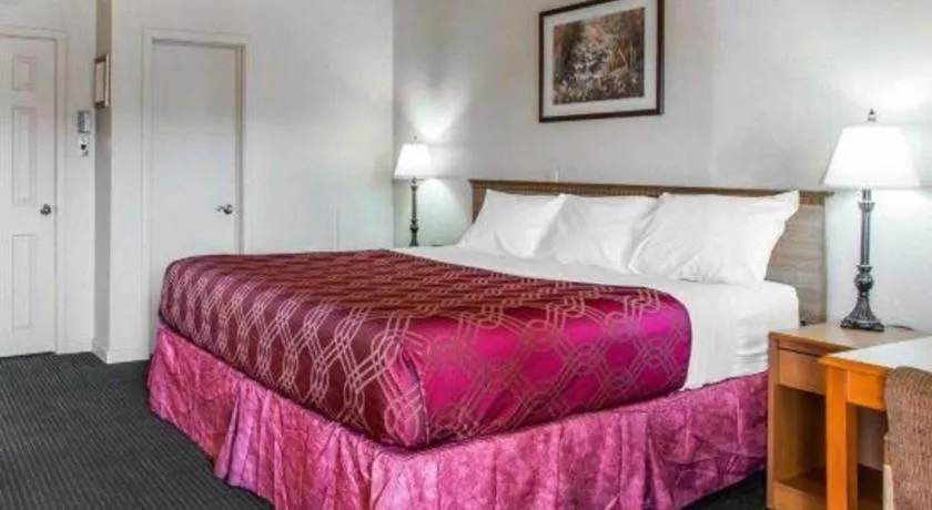 Bed in Econo Lodge Inn & Suites Durango