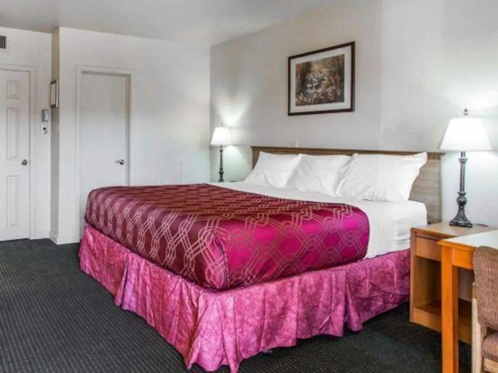 Bed in Econo Lodge Inn & Suites Durango