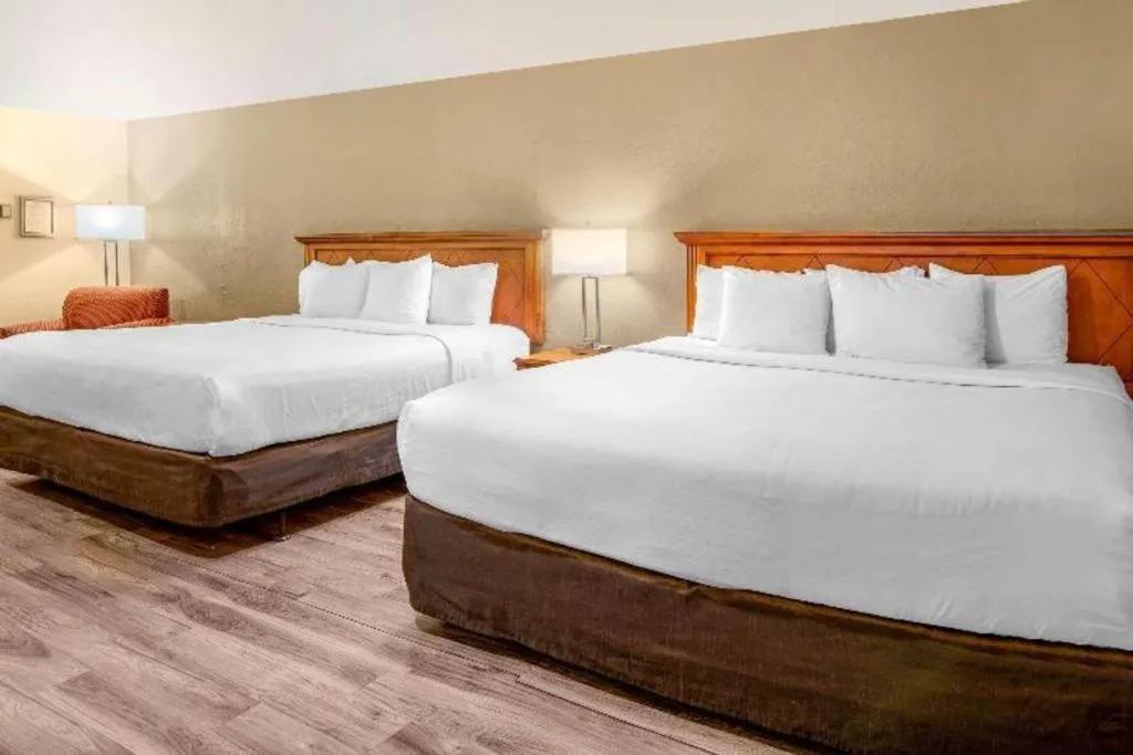 Bed in Econo Lodge Inn & Suites Durango