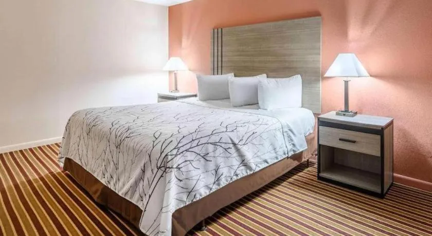 Bed in Americas Best Value Inn Heflin