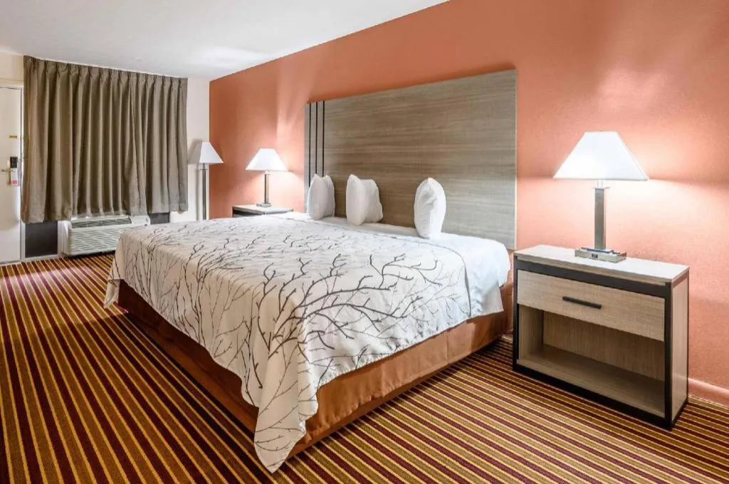 Bed in Americas Best Value Inn Heflin