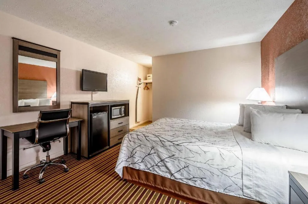 Bed in Americas Best Value Inn Heflin