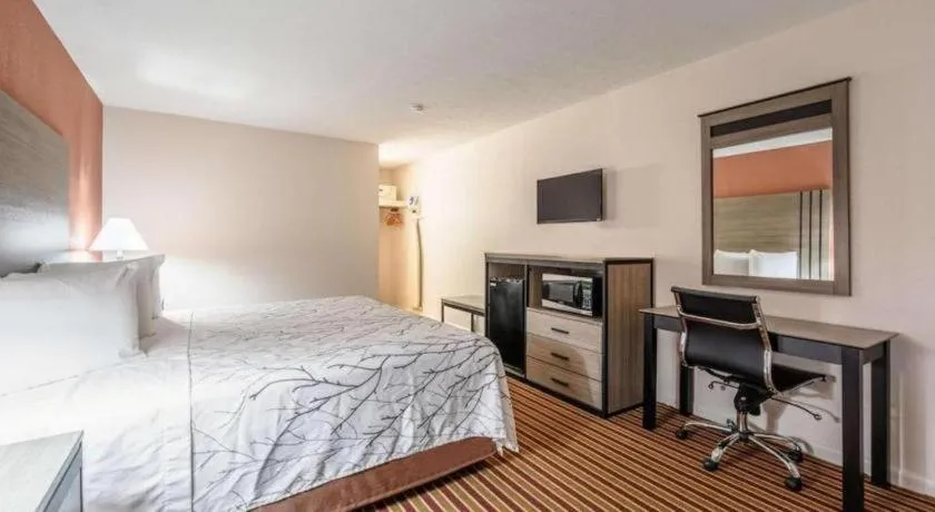 Bed in Americas Best Value Inn Heflin