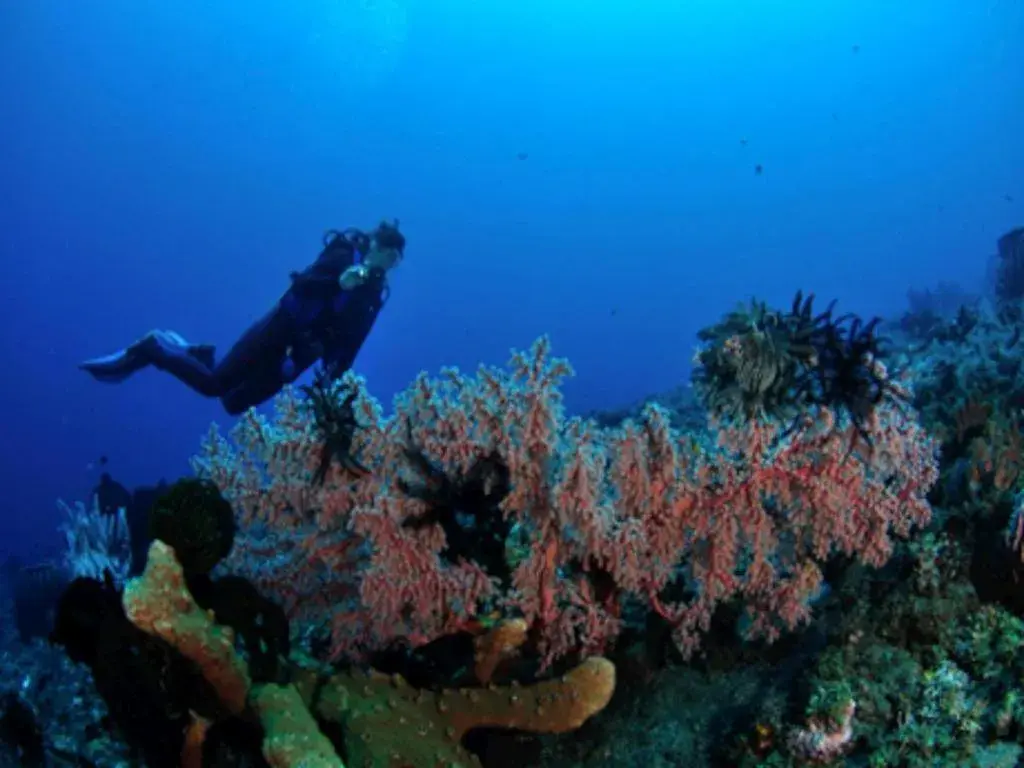 Tulamben Wreck Divers Resort & Restaurant Tulamben Wreck Divers Resort & Restaurant