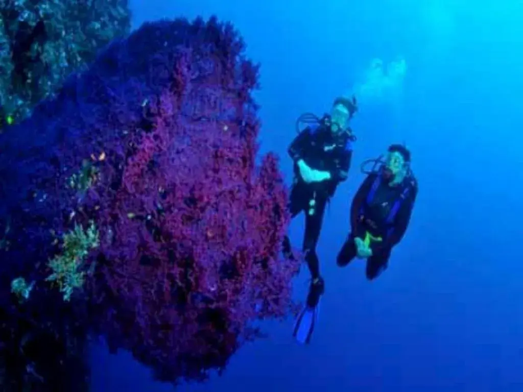 Tulamben Wreck Divers Resort & Restaurant Tulamben Wreck Divers Resort & Restaurant