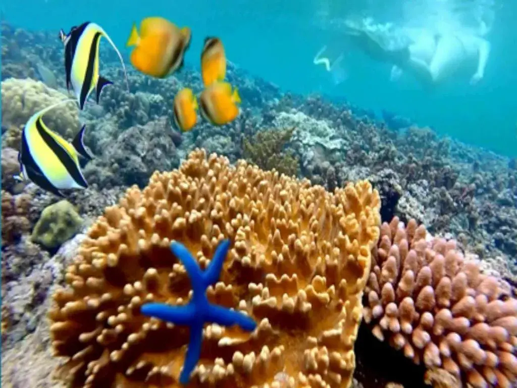 Tulamben Wreck Divers Resort & Restaurant Tulamben Wreck Divers Resort & Restaurant