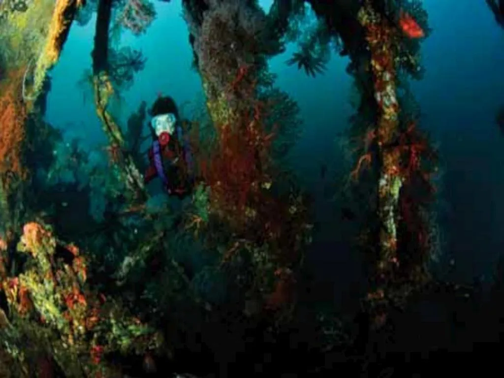 Tulamben Wreck Divers Resort & Restaurant