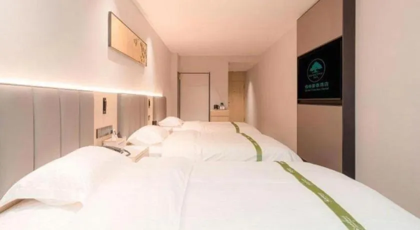 Bed in GreenTree Inn xinghua Middle Yingwu Road Express Hotel