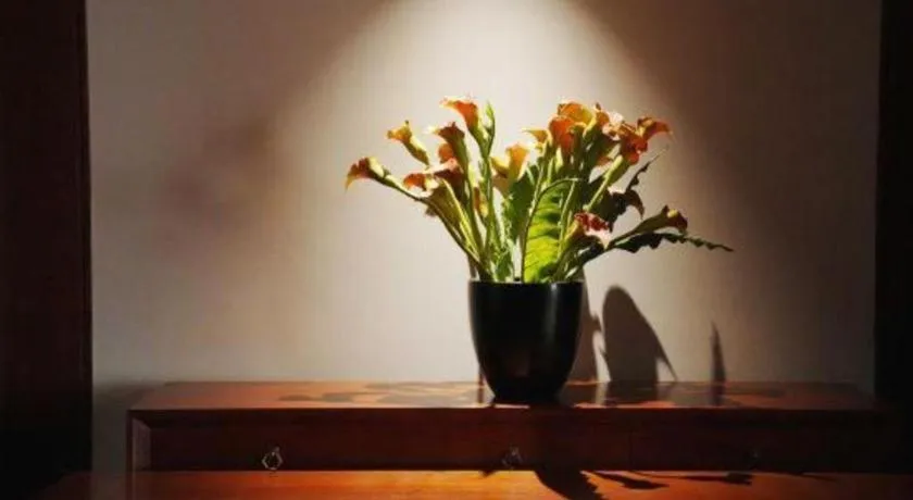 Jiyuan Oriental Jianguo Hotel