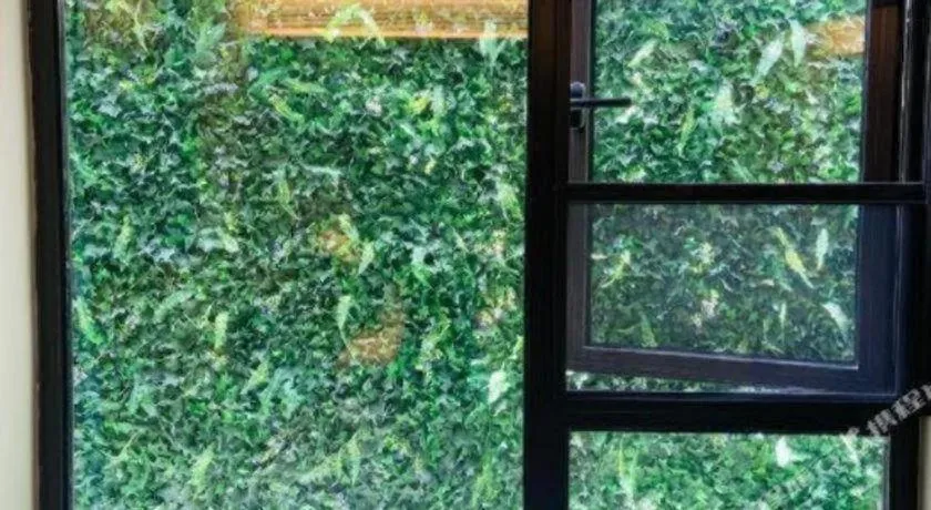 7 Days Premium Suzhou Mudu Ancient Town