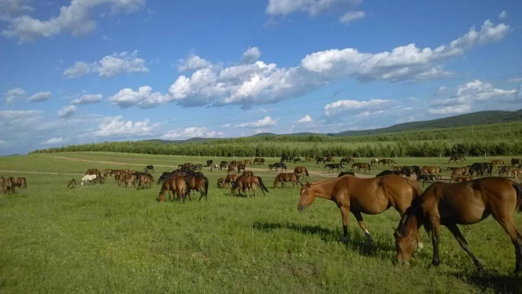 Lavande Hotel Chengde Mountain Resort Railway Station