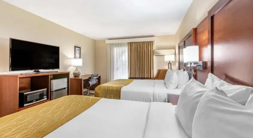 Bed in Comfort Inn Escondido San Diego North County Bed in Comfort Inn Escondido San Diego North County