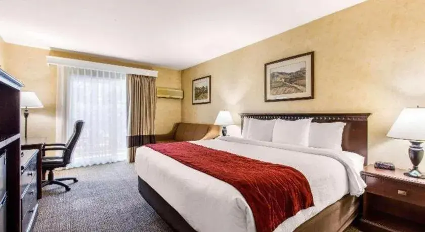 Bed in Comfort Inn Escondido San Diego North County Bed in Comfort Inn Escondido San Diego North County