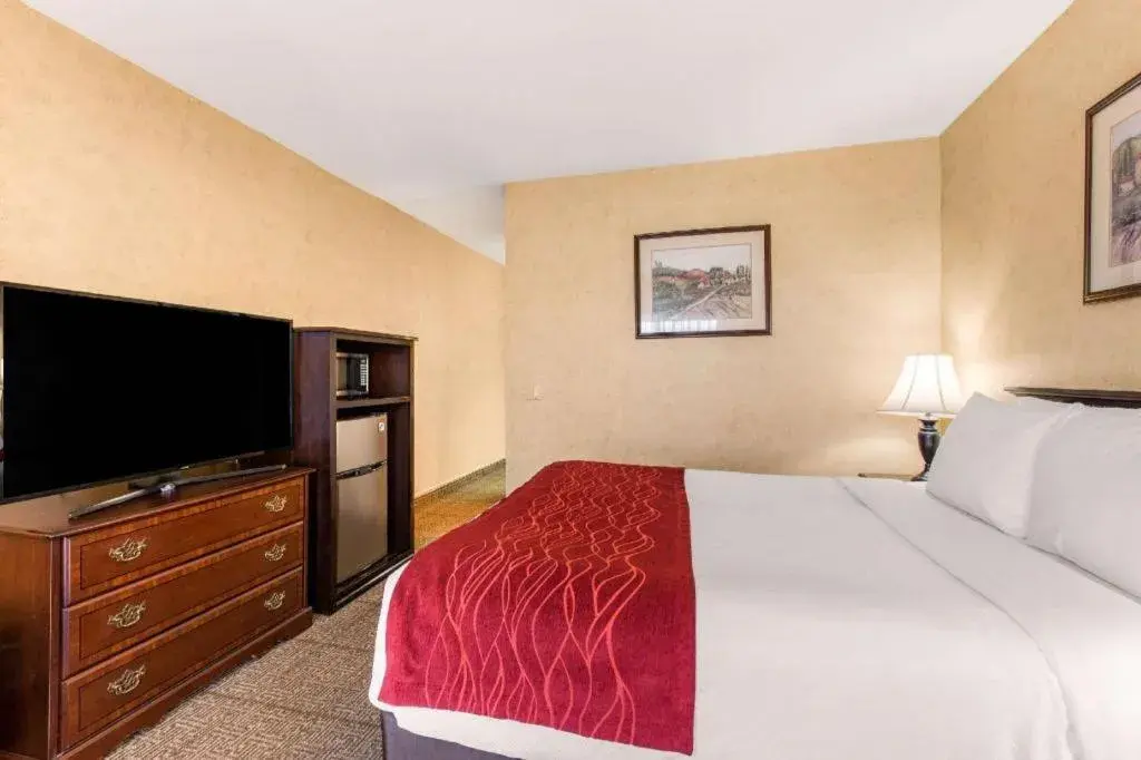 Bed in Comfort Inn Escondido San Diego North County Bed in Comfort Inn Escondido San Diego North County