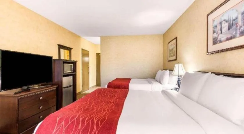 Bed in Comfort Inn Escondido San Diego North County