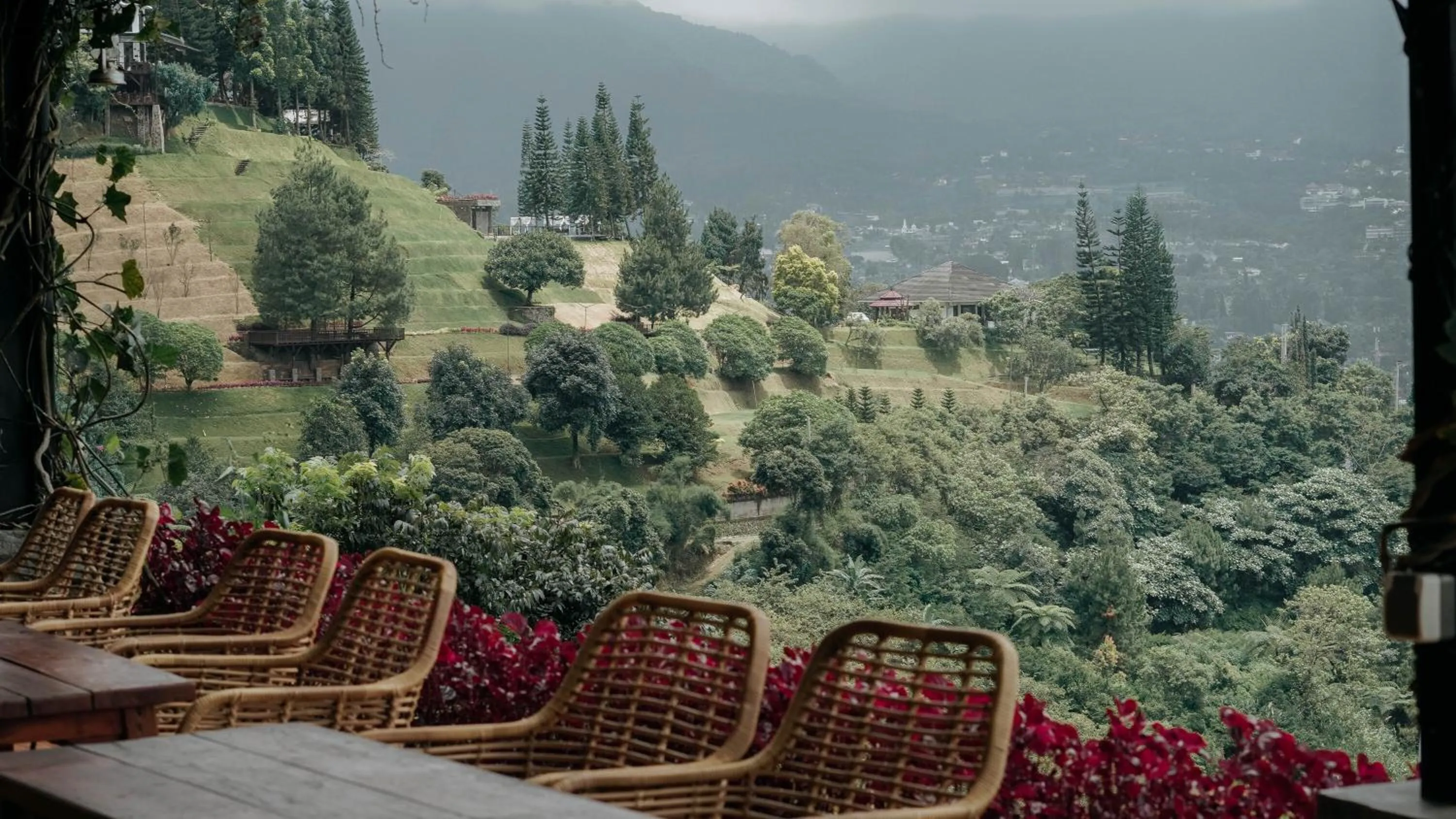 Natural landscape in Damar Langit Resort
