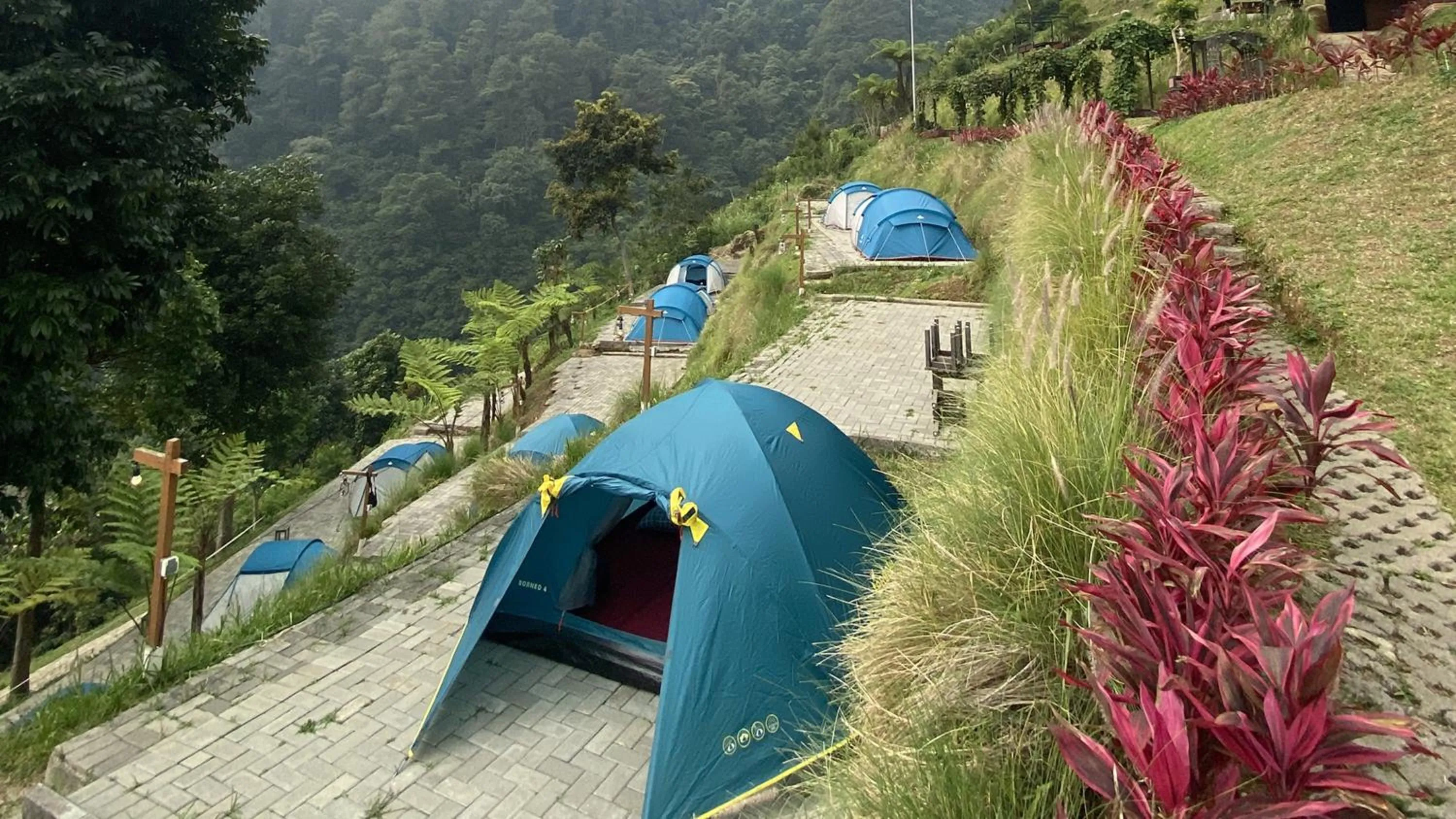 Natural landscape in Damar Langit Resort