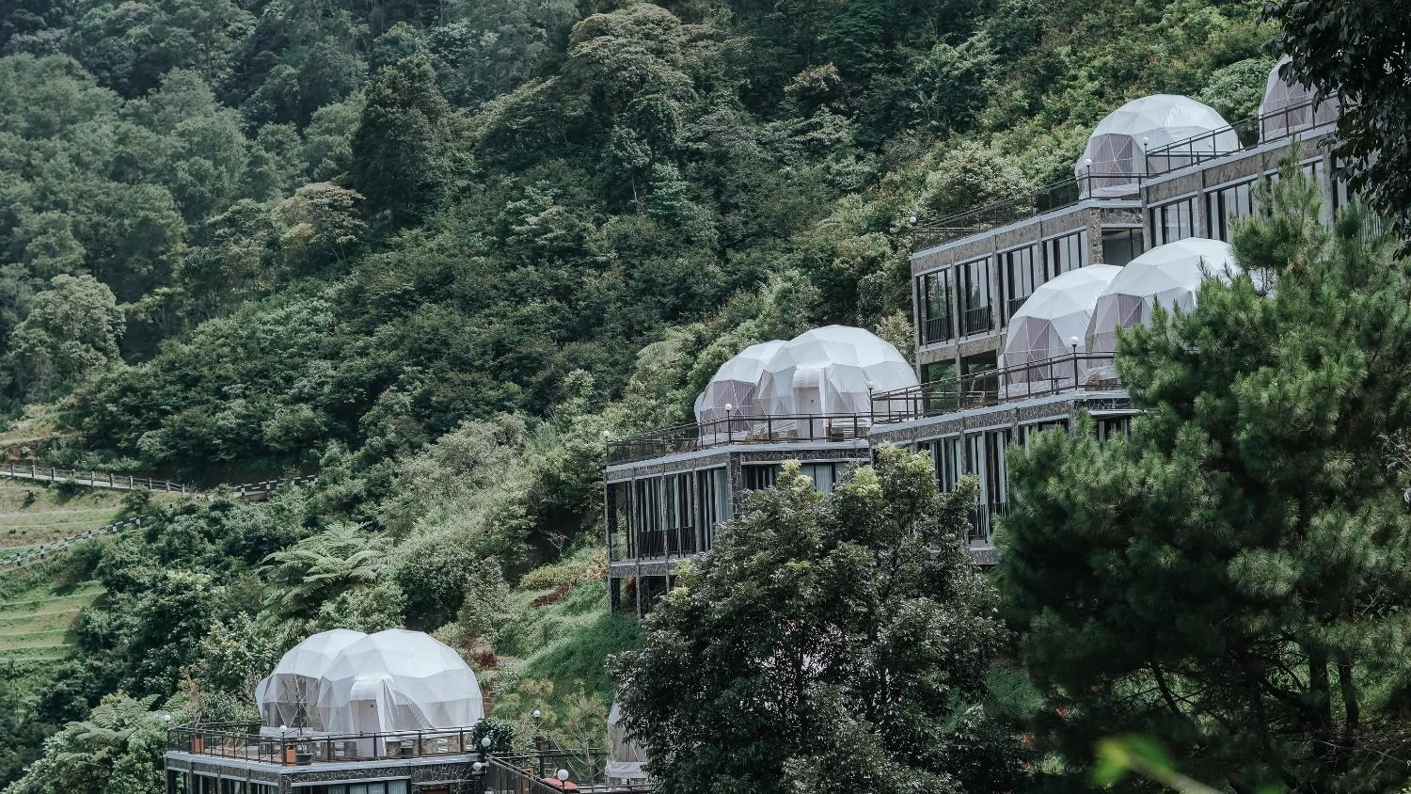 Natural landscape in Damar Langit Resort