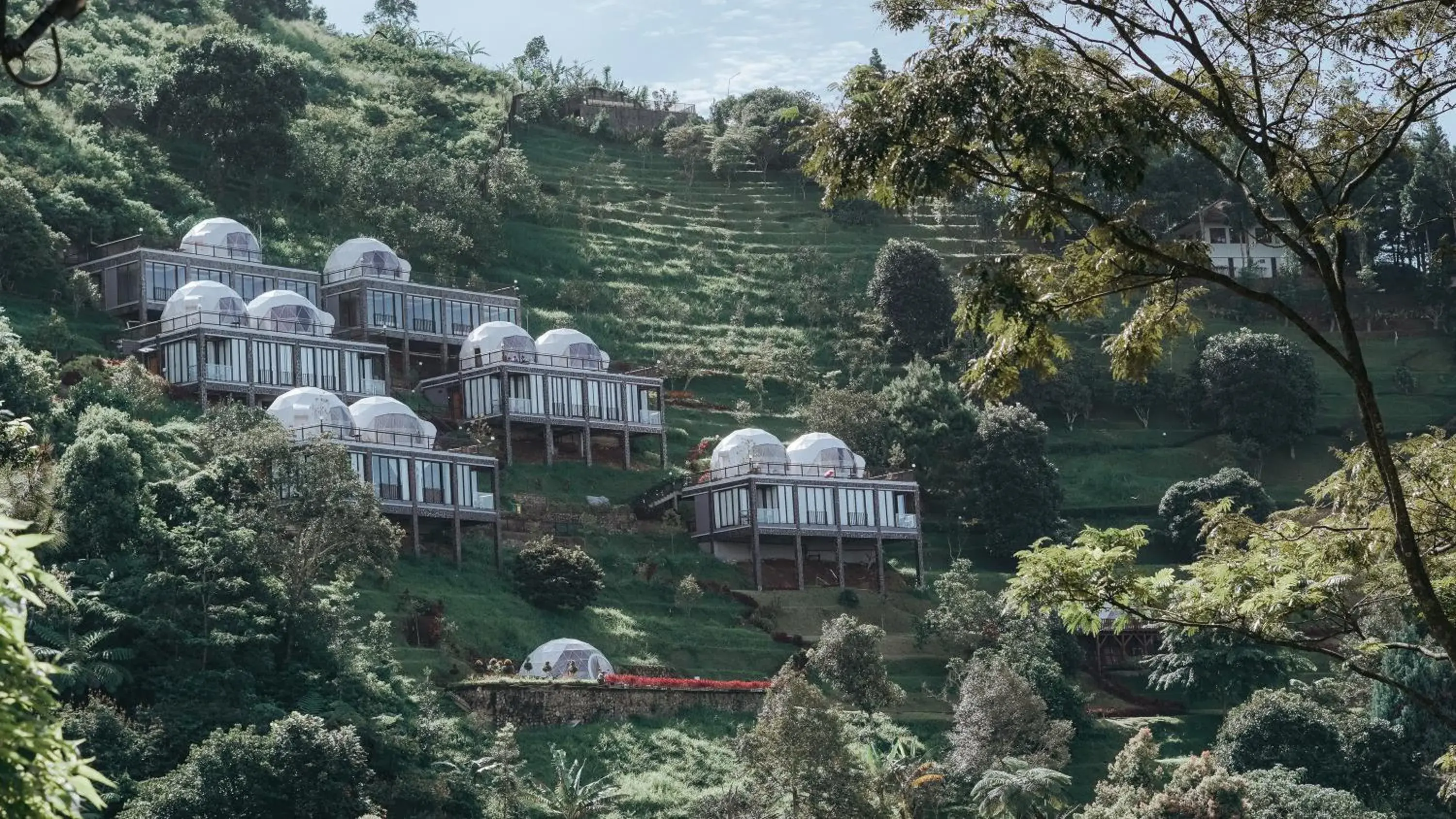 Damar Langit Resort Damar Langit Resort