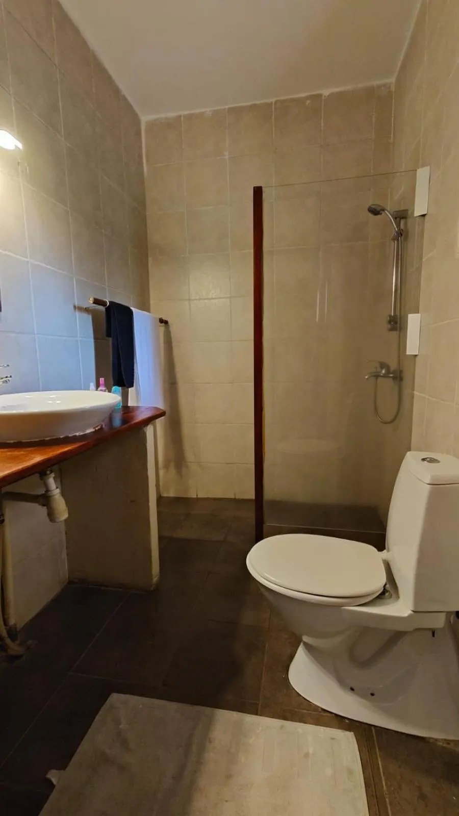 Toilet in Lemon Creek Hotel Resort