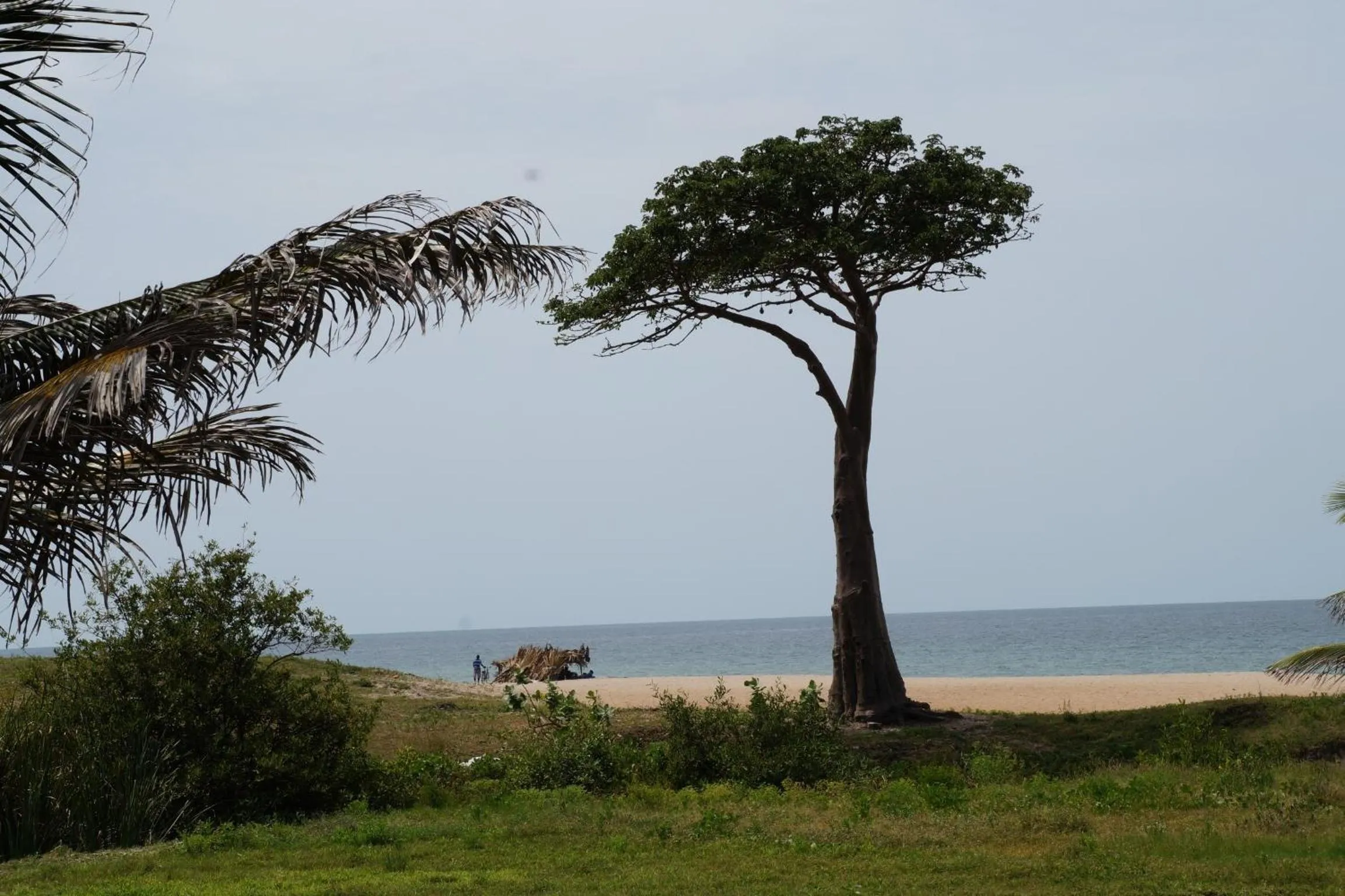 Beach in Lemon Creek Hotel Resort