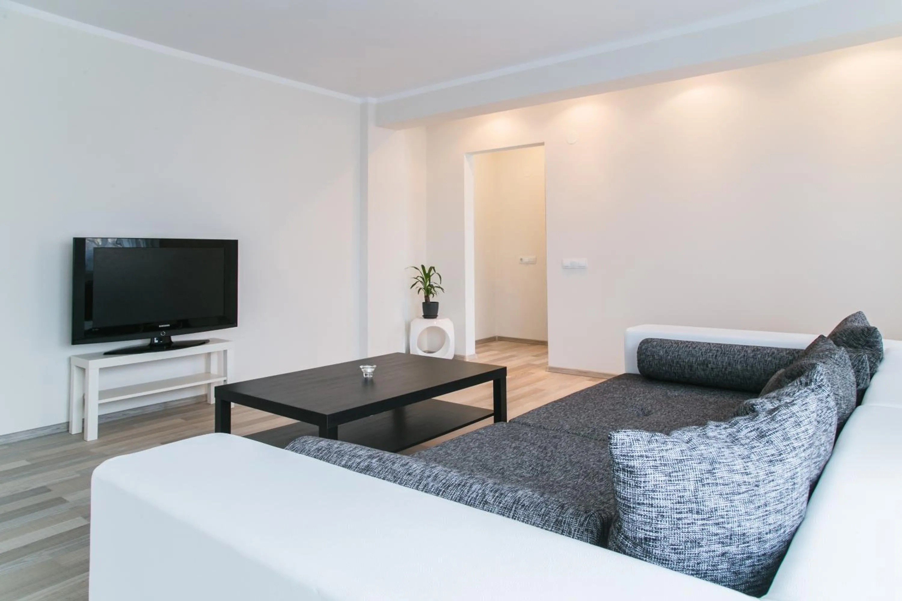 TV and multimedia in Hermann Apartments