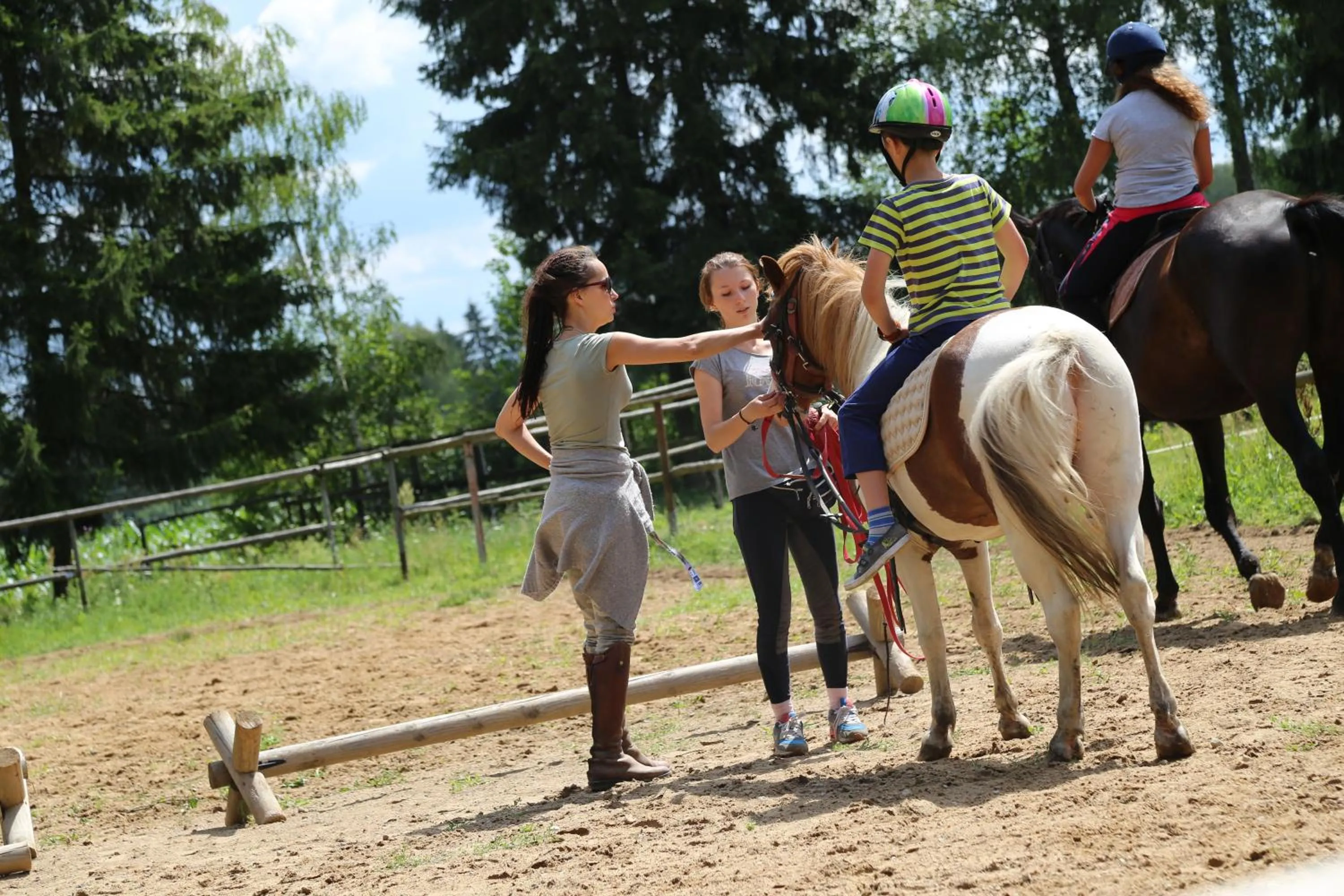 Horse-riding in Kurnik Polski agroturystyka
