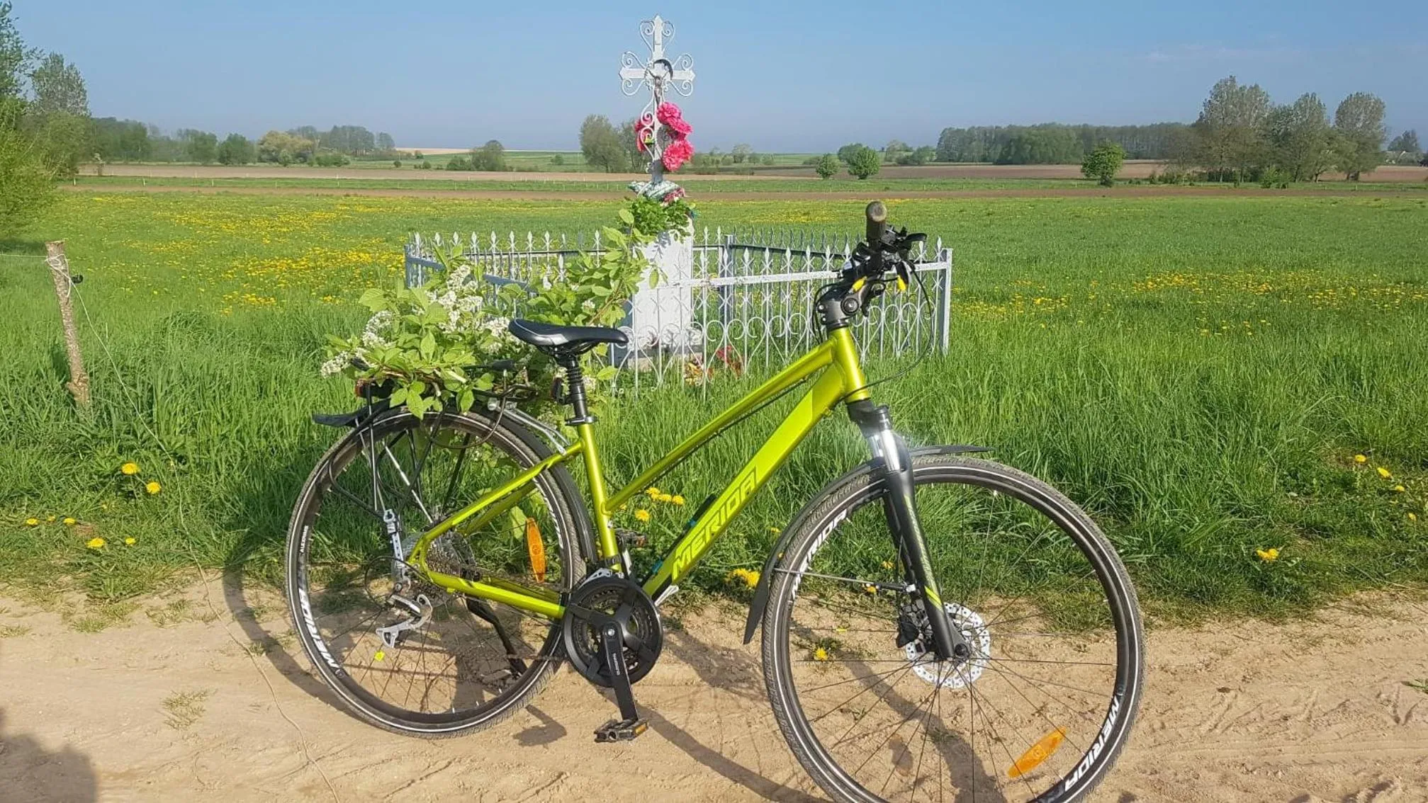 Activities in Kurnik Polski agroturystyka