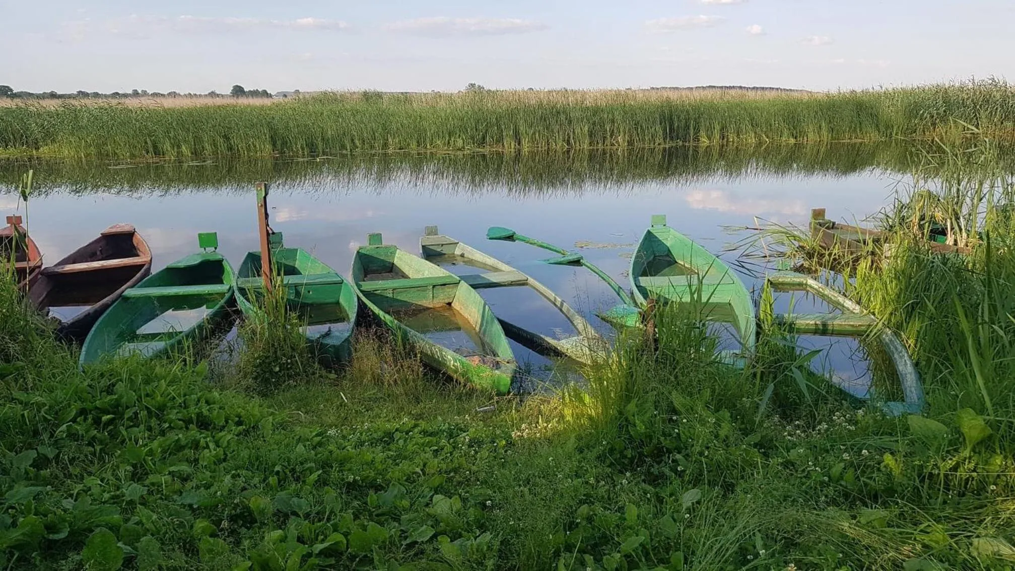 Natural landscape in Kurnik Polski agroturystyka